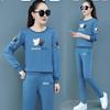 Sports Suit Women's Spring and Autumn Fashion Loose Korean Casual Wear Long-sleeved Trousers Two-piece Set