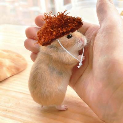 Afro krysí klobouk Malý klobouk pro mazlíčka s nastavitelnou gumičkou Vtipný huňatý klobouk pro morče zlatého křečka veverku