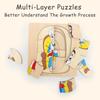 Wooden Kids Animal/ Plant Life Cycle 3D Puzzle Toy Montessori Teaching Aids Multi-Layer Jigsaw Early Learning Toys For Preschool