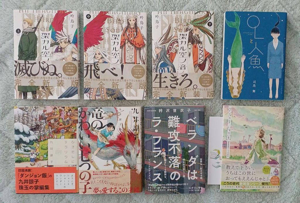 [USED] Haruta Comics Blue Knight Comics and 35 other books bundled together