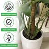 2Pcs Plant Stem Support Holder Heavy Duty Metal Indoor Outdoor Monstera Plant