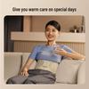 SKG G3 Waist and Abdomen Massager CN plug (adapter included)