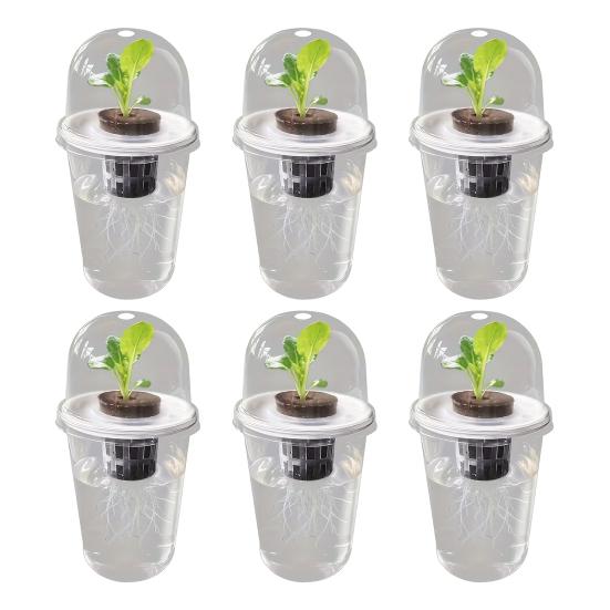 1/2/3/5/6/8/10Pcs Hydroponic Plants Growing Cup with Dome Transparent Plants Germination Pot Gardening Nursery Plants Starting Container