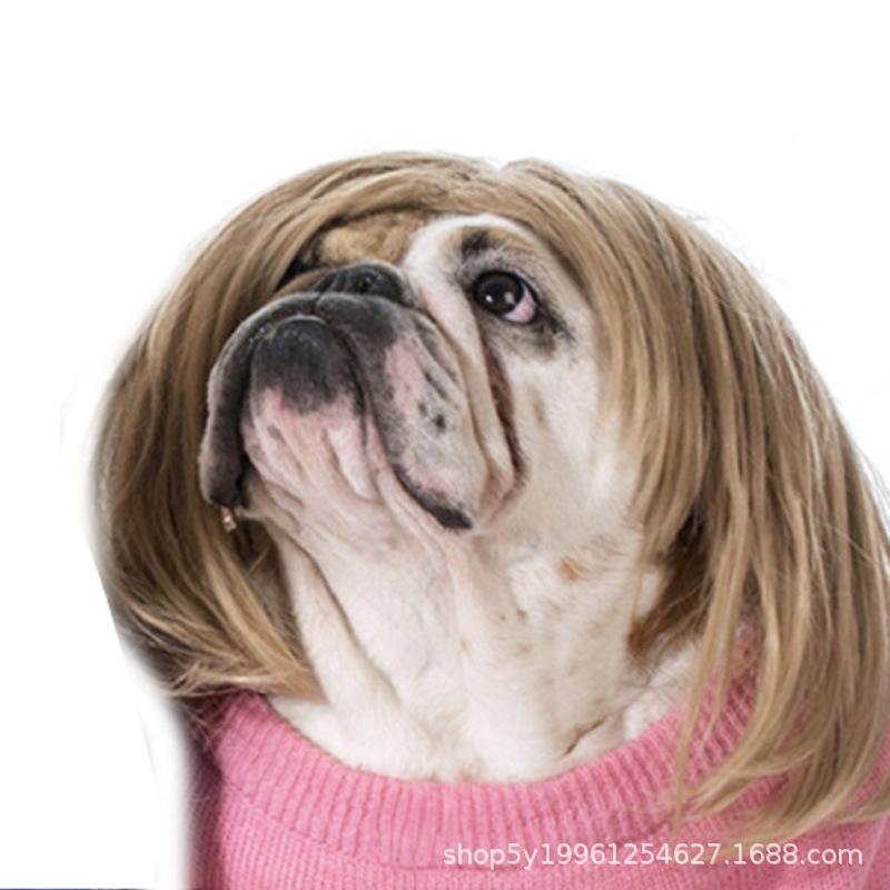 Lustige Hunde-Katzen-Cosplay-Perücke für kleine Hunde, Kopfbedeckung, Cosplay-Kostüm-Accessoires, Haustierperücken für Halloween, Heiligabend, Festival-Party-Dekoration