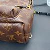 [Pre-Owned] Louis Vuitton Palm Springs Mini 'Brown Monogram Canvas' - Very Good #4PBE7T