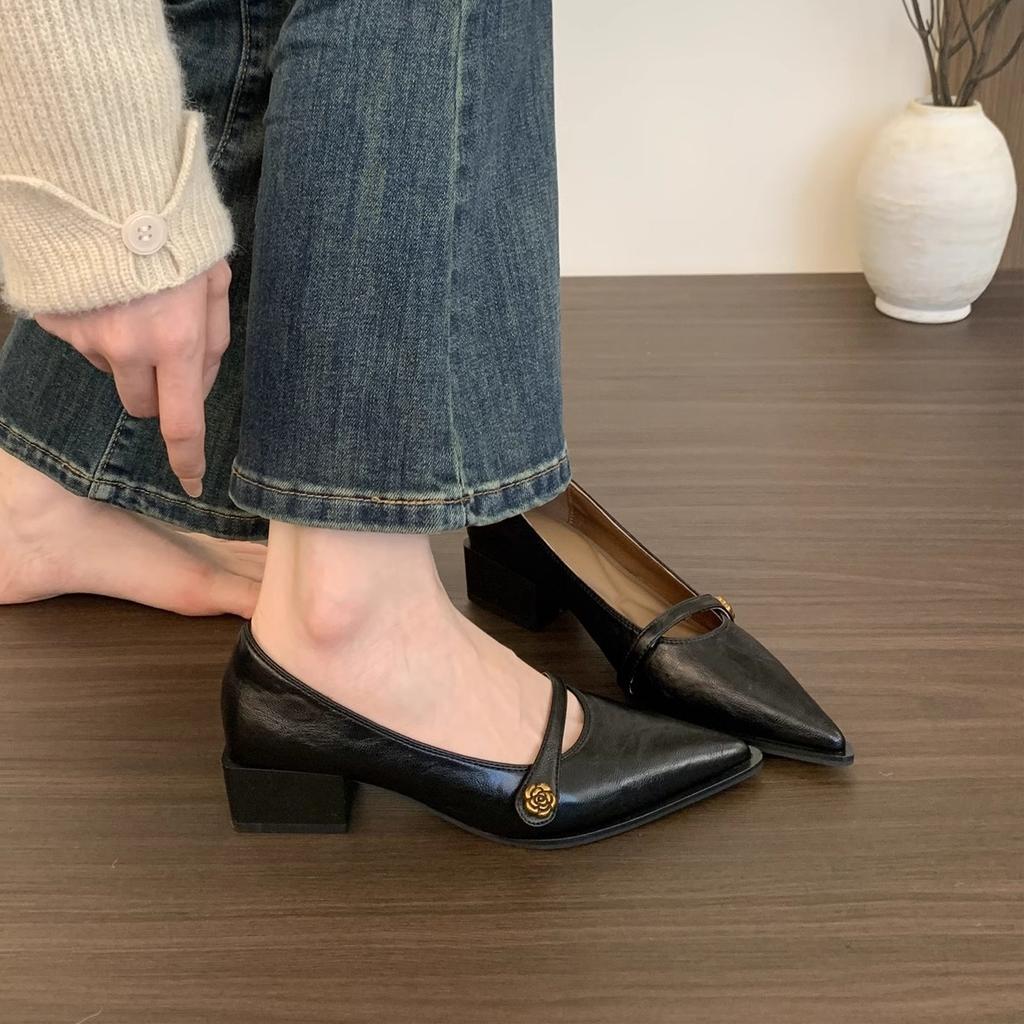 Pointed head shallow mouth single shoes women's middle heel 2025 new French retro commuter brown thick heel Mary Jane small leather shoes