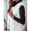 Women's Winter Autumn Long Faux Fur Vest Sleeveless Jacket Casual Outerwear For European American Style
