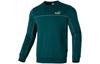 Sports Life Collection Brand Logo Pattern Thickened And Fleece Lined Sweatshirt Men's Green 680140-43