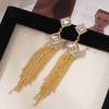 Europe and the United States Popular Zircon Fringed Earrings Light Luxury High Sense Temperament Exquisite Stud Earrings Fashion Full of Diamonds