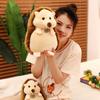 Simulation Cute Hedgehog Plush Toys Funny Children's Plush Gifts Animal Stuffed Doll For Kids Children Boys Baby Birthday Gifts