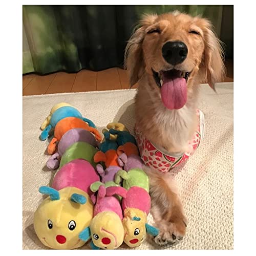 PLATZ TIERZUBEHÖR SPASS Raupy Kleine Hunde 45cm