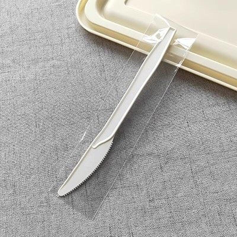 ZISIZ Disposable Corn Starch Spoon