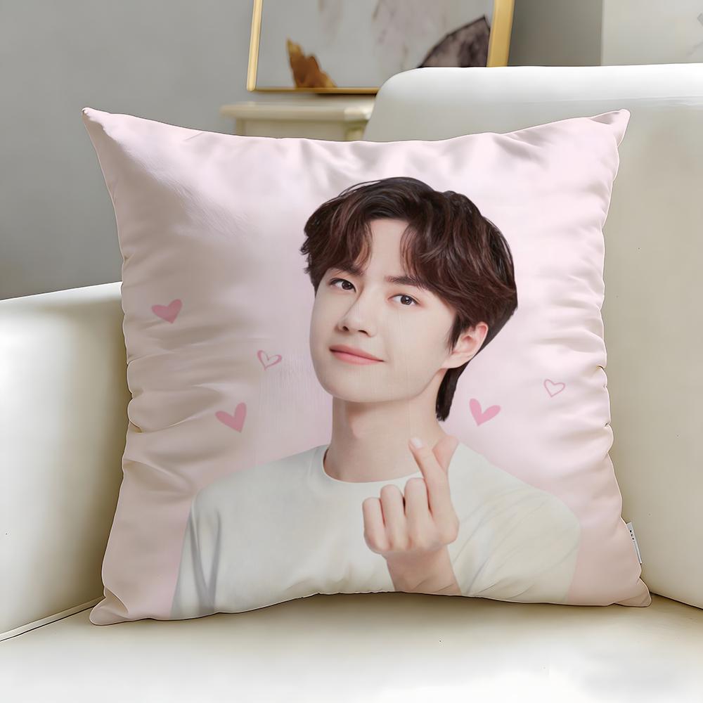 popular actor Wang Yibo Cushion Cover Soft & Easy-Wash Pillow Case – Versatile for Couch, Bed, Travel and Office
