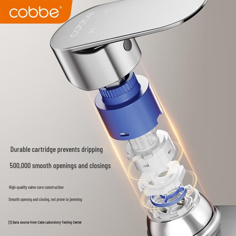 Kaibe Zinc Alloy Single-Handle Hot & Cold Bathroom Sink Faucet