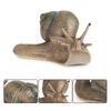 Strumento Didattico Ornamento da Scrivania Decorazione Decorazione da Giardino Statuetta Lumaca per Giardino delle Fate Statua Lumaca Mini Figure di Animali