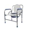 Elderly Foldable Multifunction Toilet Chair: Portable & Household Use