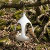 Plastic Bird Feeder House Water-Resistant Bird Food Container Feeding Station  for Bird Lovers