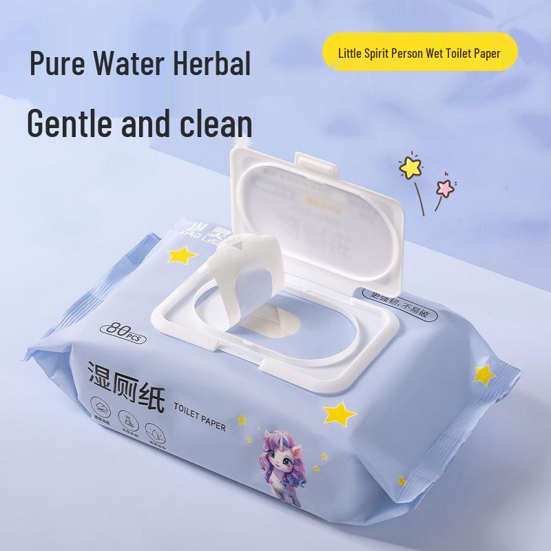 Flushable Hygiene Wet Wipes 80 Sheets - Large Pack for Household Cleaning