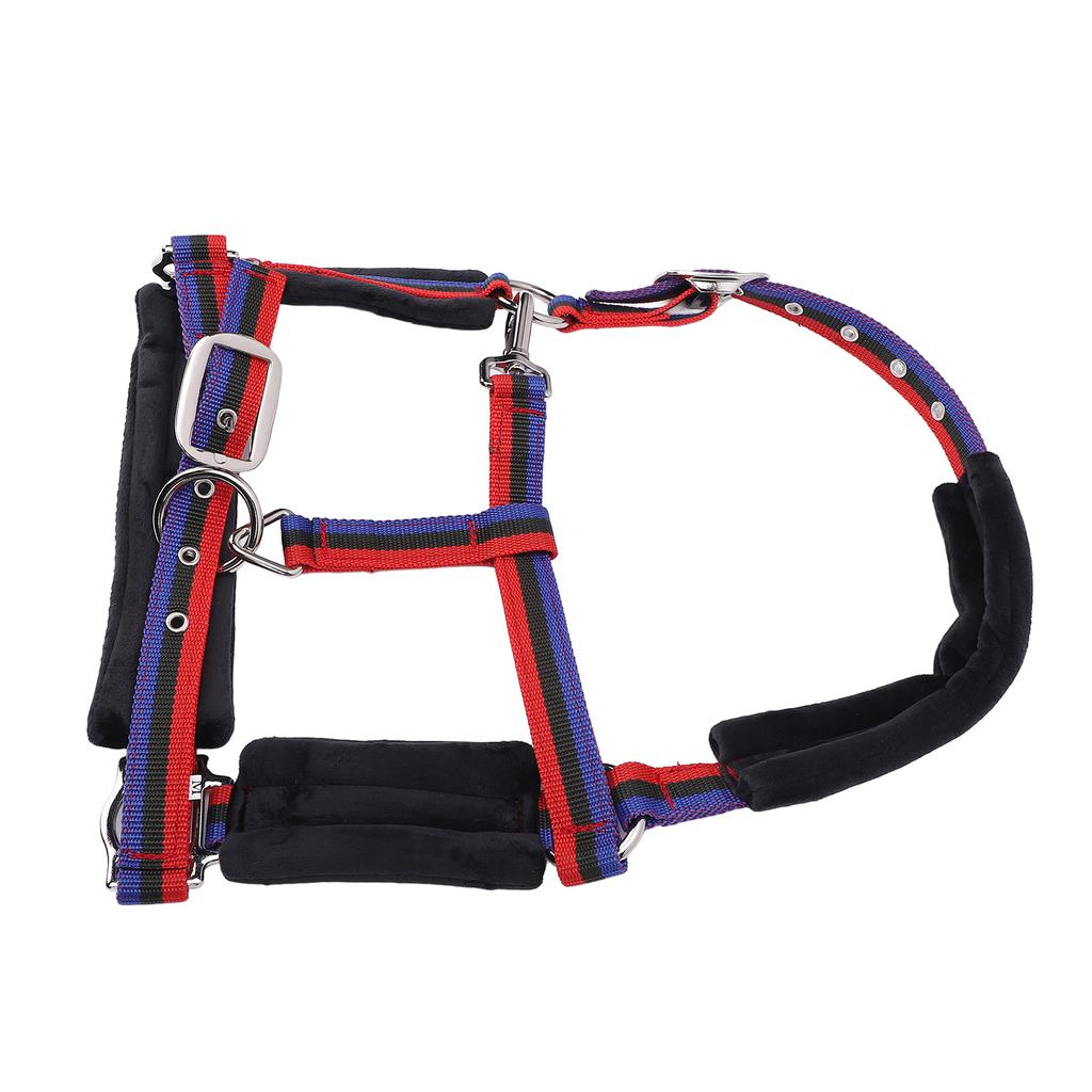 Horse   Wrproof Nylon Comfortable   Chin and Throat Snap   for Training Equestrian