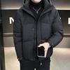 Men's Trendy Hooded Down Jacket: Warm, Casual Winter Outerwear