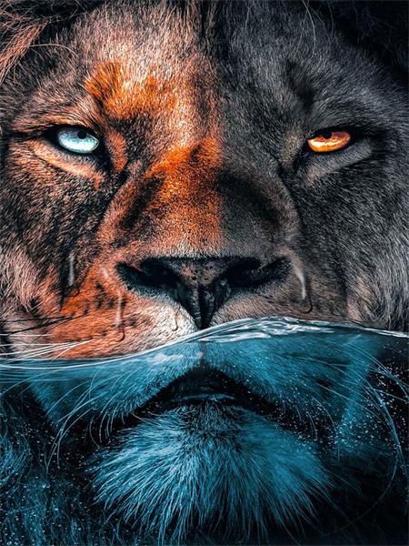 5d Diamant Malerei voller Bohrer Tiger Löwe Quadrat/Runde Stickerei Kreuzstich Tiere Mosaik Kristall Home Decor