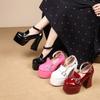 Sexy High Heel Shoes New Round Head Shallow Mouth Metal Buckle Thick Heel Waterproof Platform Mary Jane Women's Shoes