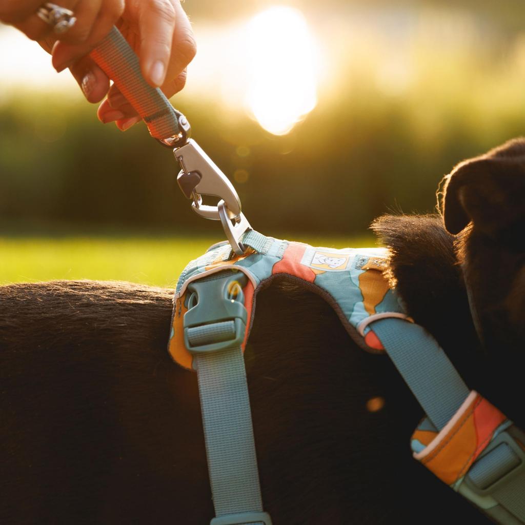 RUFFWEAR Front Range Leash Red Canyon (Official)