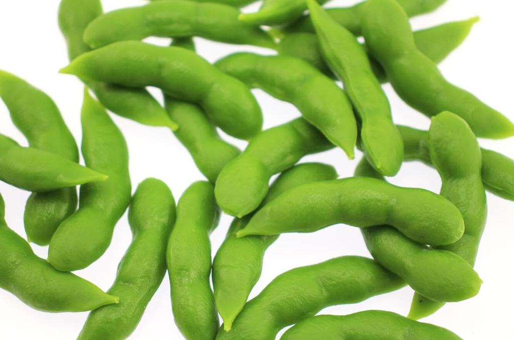 Speed Mao Realistic Edamame Food Sample Food Model Set of 25 Look-alike