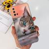 For Huawei Honor 20 Case YAL-L21 YAL-AL00 Luxury Painted Cover Soft Silicone Phone Case For Huawei Nova 5T Nova5T Honor20 Bumper