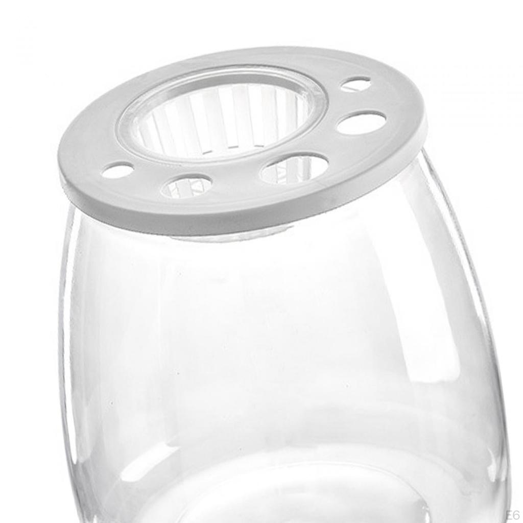 Bowl Tank Creative Transparent Table Ornament Trendy DIY Micro Landscape Aquarium for Office