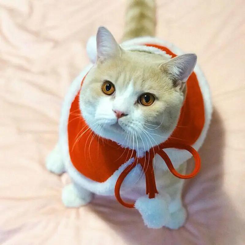 Katze Kostüm Santa Cosplay Lustige Verwandelt Katze/Hund Haustier Weihnachten Cape Dress Up Kleidung Roten Schal Mantel Requisiten Dekor