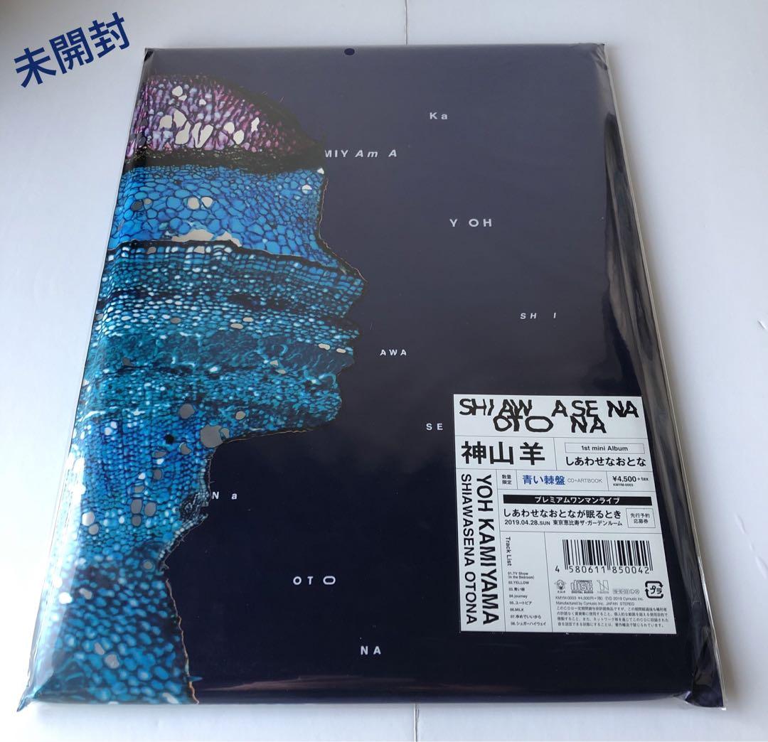 

[USED] Happy Adult Blue Thorns CD