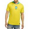 Nike Brazil 2025 Stadium Home (Women's Team) Men's Nike Dri-FIT Soccer Replica Jersey FZ9011-718
