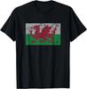 Wales Flag Welsh Dragon Baner Cymru Y Ddraig Goch T-Shirt