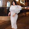 Plus Size Women's See-through Lace Patchwork Puff Sleeve Dress, Round Neck, Cinched Waist, Mid-length.
