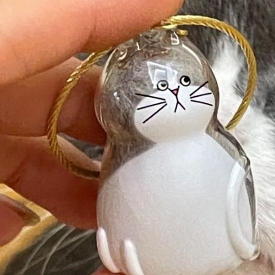 Cat Hair Storage Bottle Transparent Pet Fur Keepsake Keychain for Collecting Cats Dogs Hair Pet Memorial Gift