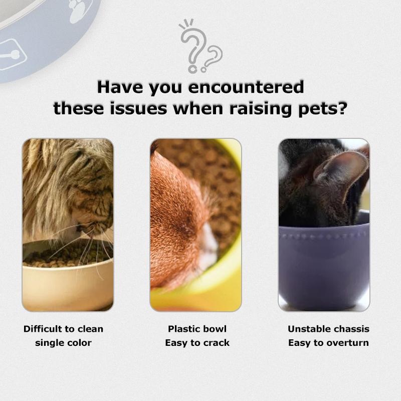 Pet New Land Bol pentru hrănire pentru animale de companie Câine Pisică oțel inoxidabil Anti alunecare Anti răsturnare Bol antirugină