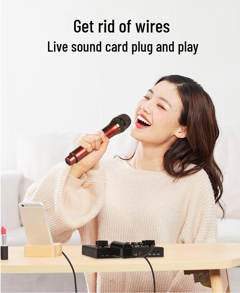 2.4G Wireless Dual Microphone & Speaker System for Home, Karaoke, Outdoor, and Live Broadcasts.