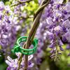Tomato Plant Clips 100 Pieces Clamps Holder Support Secured Plant Clips for Vines for Garden Outdoor Indoor Gardening Balcony