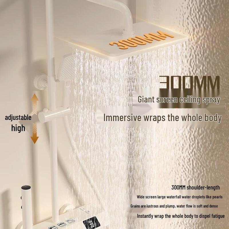 Gunmetal Grey Four-Function Shower System