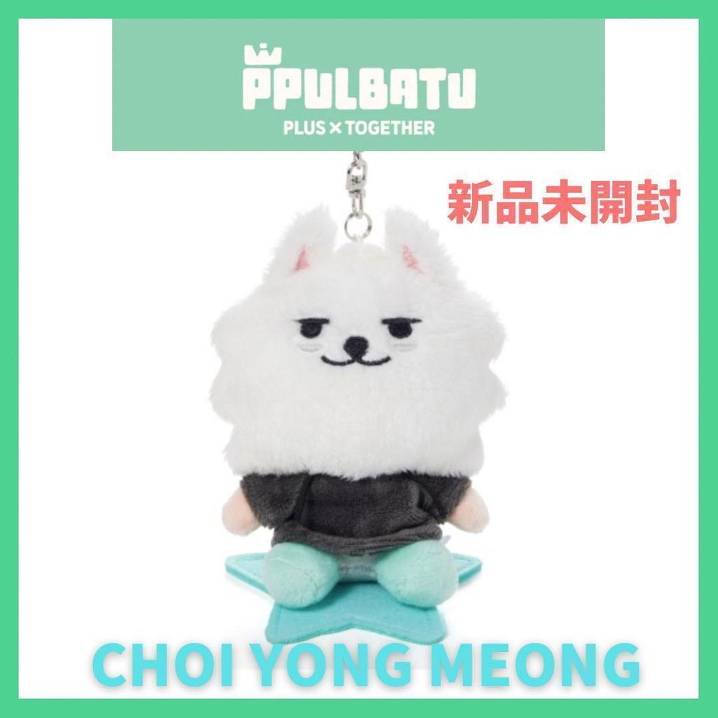 [USED] TXT PPULBATU Soobin * Youngmon * Plush Keychain