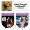 Dog Chew Stick Holder, Anti-Choking Teething Toy for Dogs