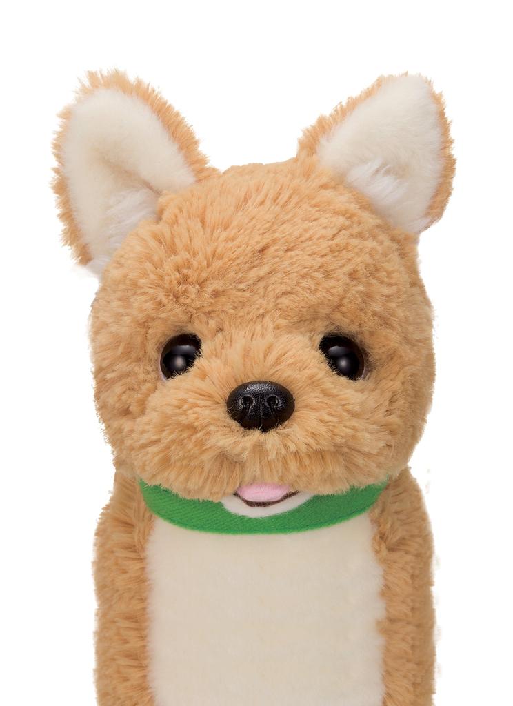 Iwaya Let's Play Together Shiba Inu Kotaro Plush Toy