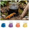 Detachable Reptiles Water Feeder Anti-slip Water Bowl Durable Reptile Water Dispenser  Turtle