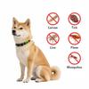 Natural Anti-Flea & Tick Pendant Oils for Dogs & Cats Collar Wearable Pet Tags with Essential Oils To Repel Pests Safely