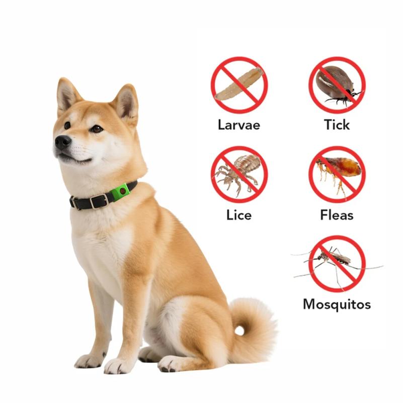 Natural Anti-Flea & Tick Pendant Oils for Dogs & Cats Collar Wearable Pet Tags with Essential Oils To Repel Pests Safely