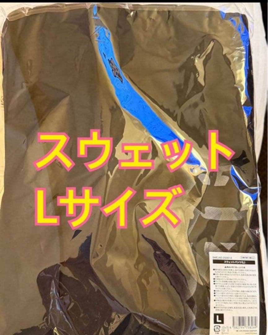 

[Б/У] Спортивные штаны из мерча тура aespa aeXIS LINE, размер L