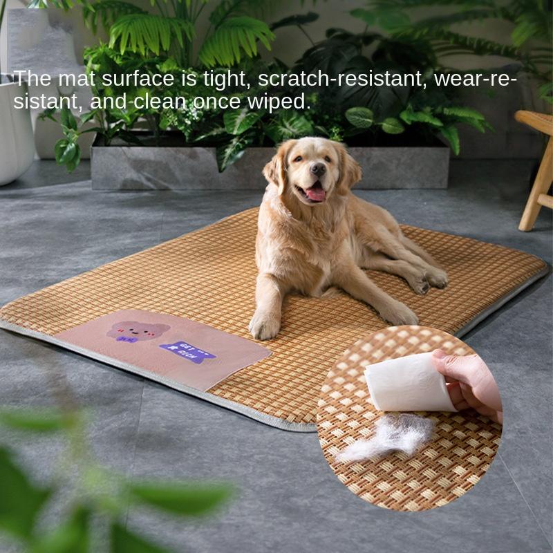Pet Spring and Summer Summer Mat