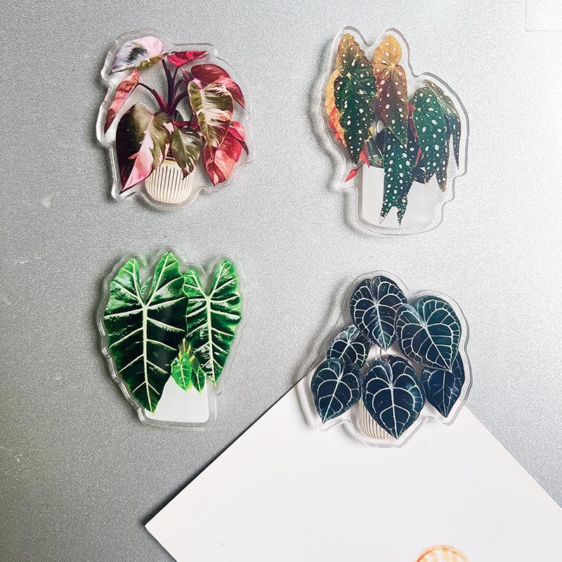 4pcs Potted Plant Fridge Magnet - Double acrylic potted plant kitchen and office decorative magnet Holiday souvenir