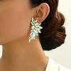 New fashionable stud earrings for women, horse eye geometric high luxury jewelry, feather wings dopamine earrings.